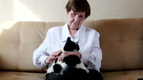 old woman stroking a cat, grandmother playing with a cat, 4k.