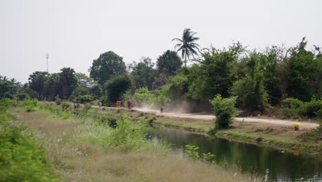 rural landscape with cattle on a dusty road next to a canal