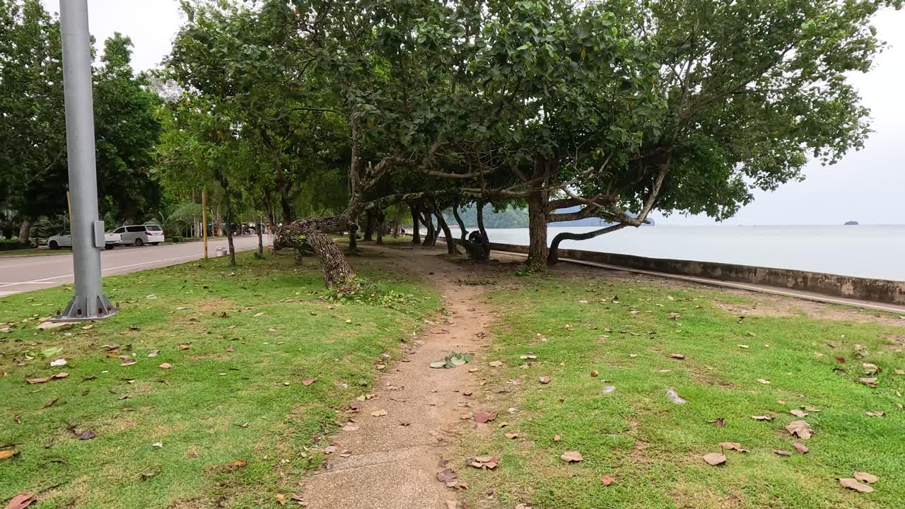 나무 가 둘러싸인 길 을 따라 경치 좋은 산책