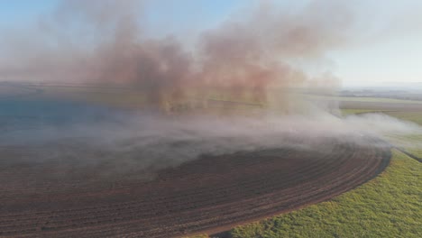 bird's-eye view of a controlled fire strategically used to manage sugarcane farmlands