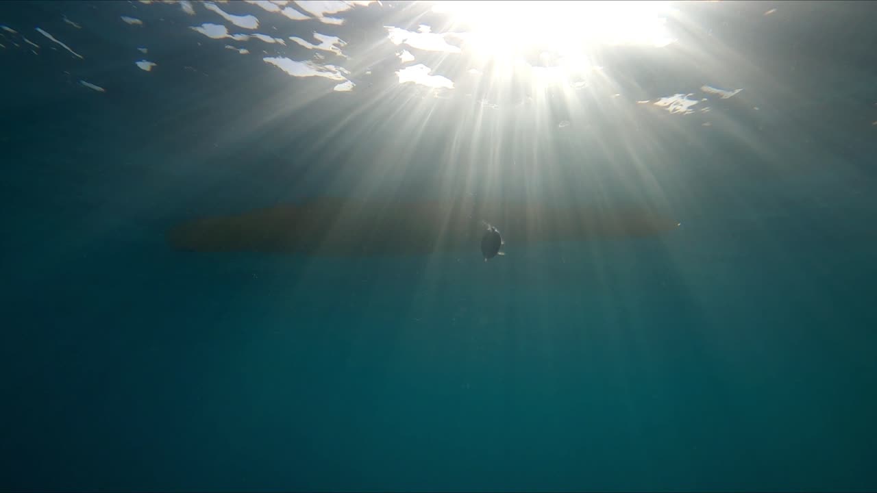 pesca en kayak, pesca al curricán