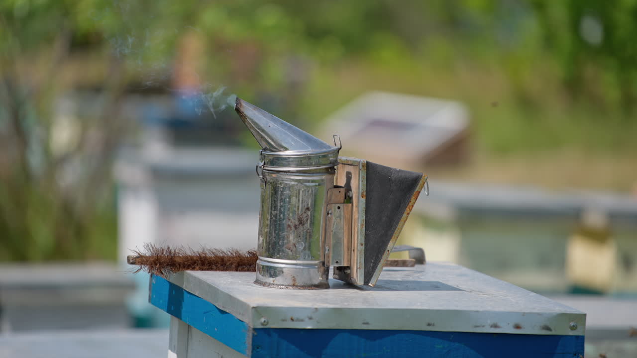 A metal smoker with white smoke coming from it and a brush at the beehive. Instrument and tool for apiculture work. Blurred backdrop.