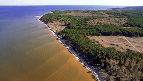 aerial flying over coastline at naglis national park, curonian spit, lithuania