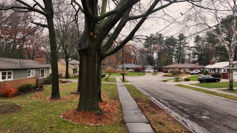 A-soaked-tree-in-cold-and-crisp-fall-colors