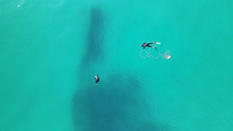 people spearfishing float in blue water above a sunken shipwreck