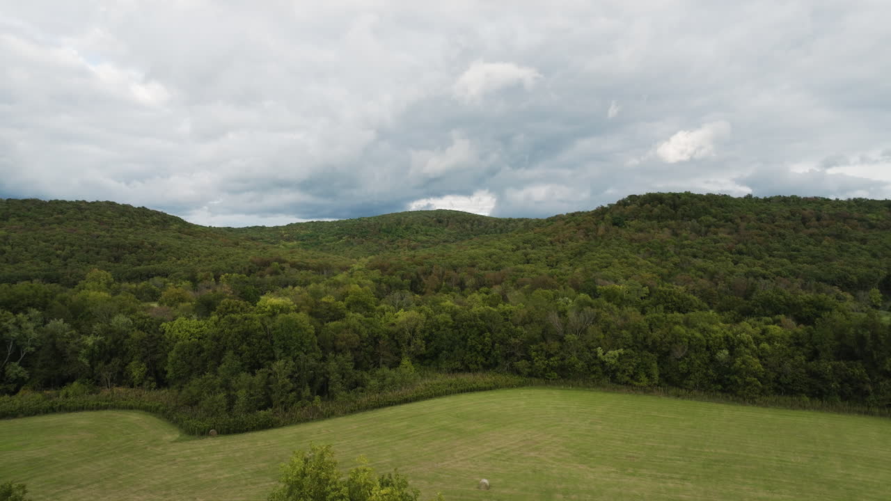 bosques con densos matorrales y llanuras en el campo de durham, arkansas, estados unidos