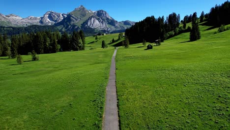cinematic 4k drone shot of a symmetrical walking trail cutting through a green alpine valley in switzerland. surrounded by pine trees, open fields, and distant rocky peaks under blue summer skies.