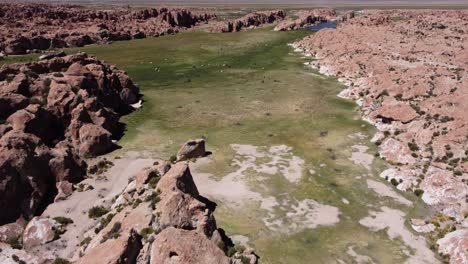 rugged altiplano aerial descends to llamas grazing in green valley