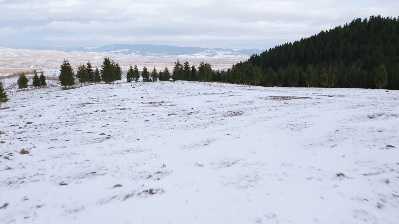 paso elevado rápido y bajo a través del paisaje invernal rumano hacia un grupo de árboles de hoja perenne