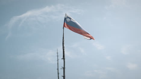 a slovenian flag attaches on the top of a long vertical stick and it flutters in the wind