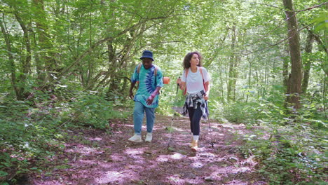 couple hiking in a forest