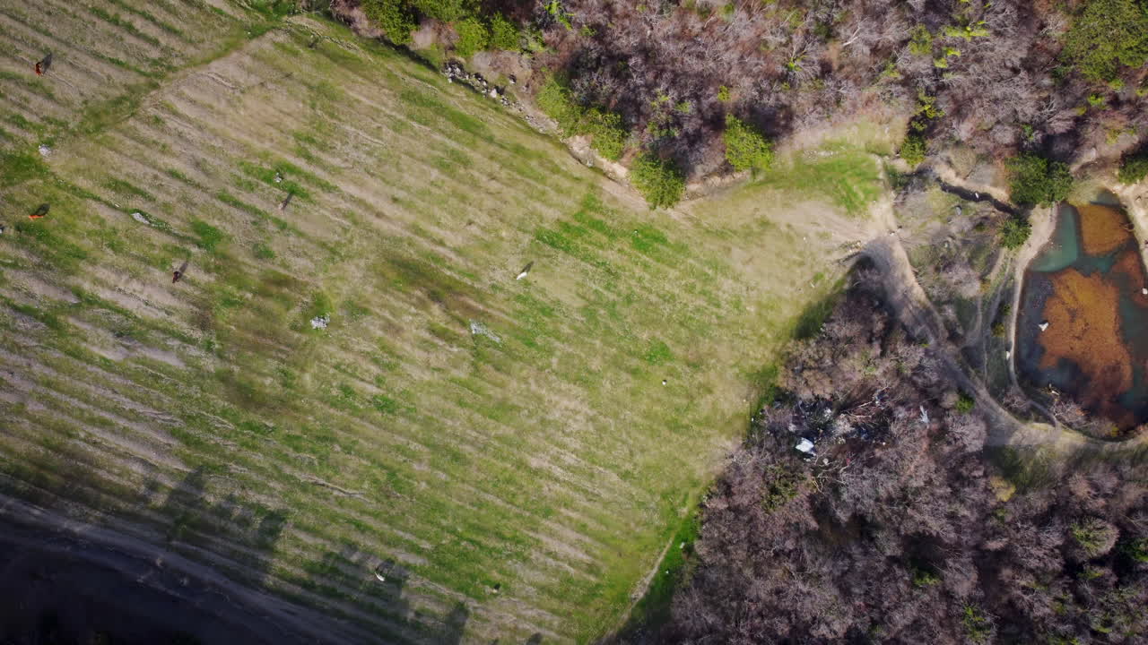 농경지와 숲이 있는 시골 풍경의 공중 사진