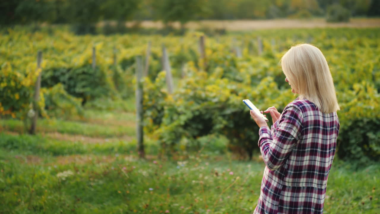 한 여성 농부가 자신의 포도원 소규모 사업주를 배경으로 스마트폰을 사용합니다.