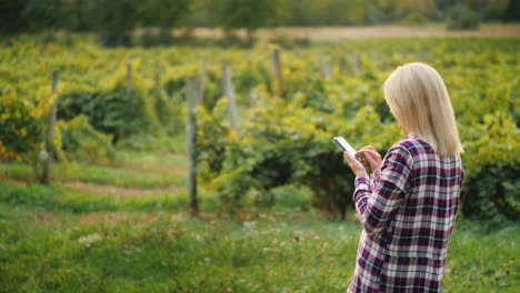 una agricultora usa un teléfono inteligente en el fondo del dueño de su pequeña empresa de viñedos