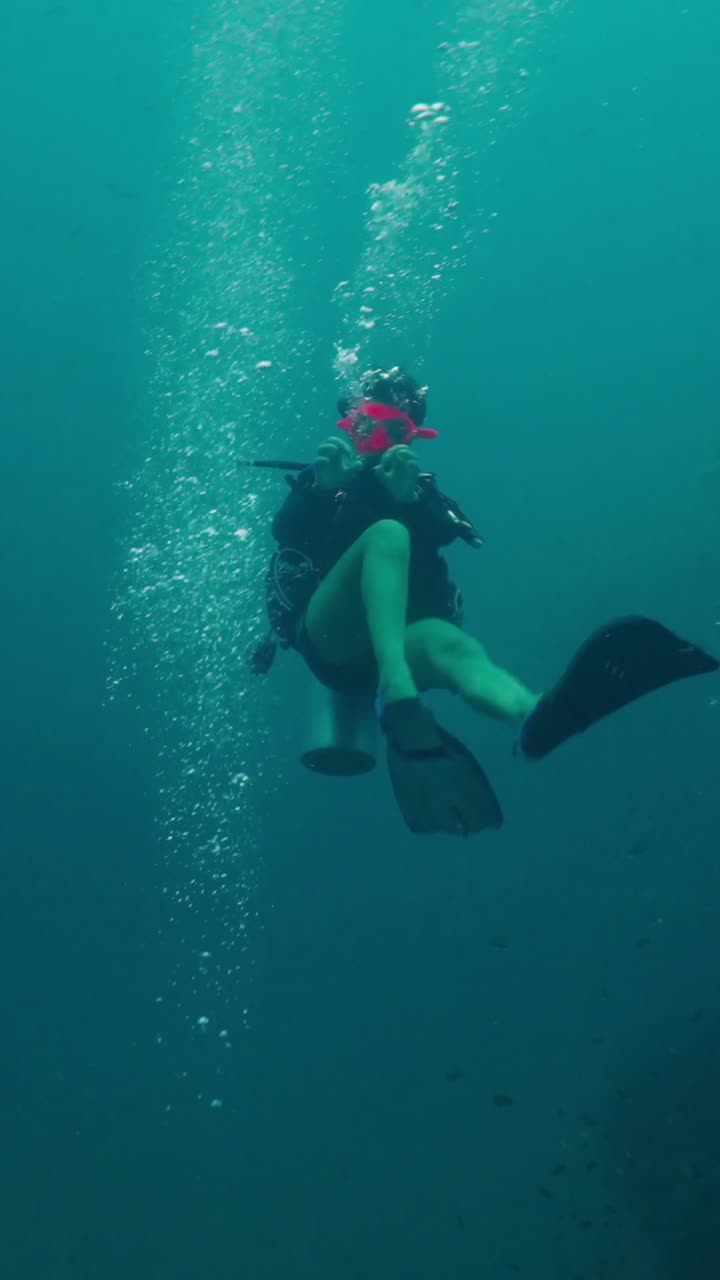Scuba Diving Adventure