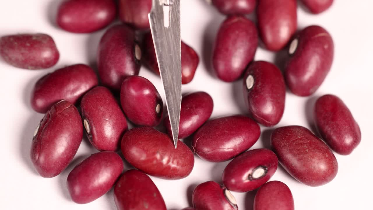 Close-up video of red kidney beans being examined with a scalpel on a white background, highlighting texture and detail