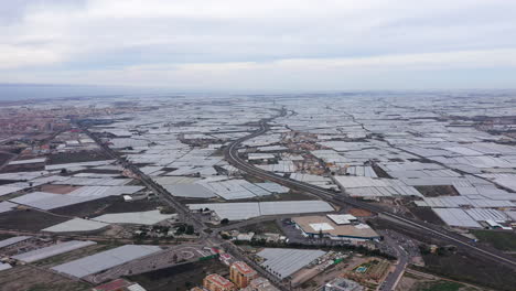 greenhouses almeria mega-farm in southern spain key supplier of europe's markets