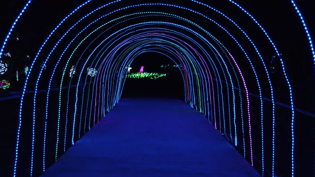공원 터널의 led 조명 축제 – 혼합 색상