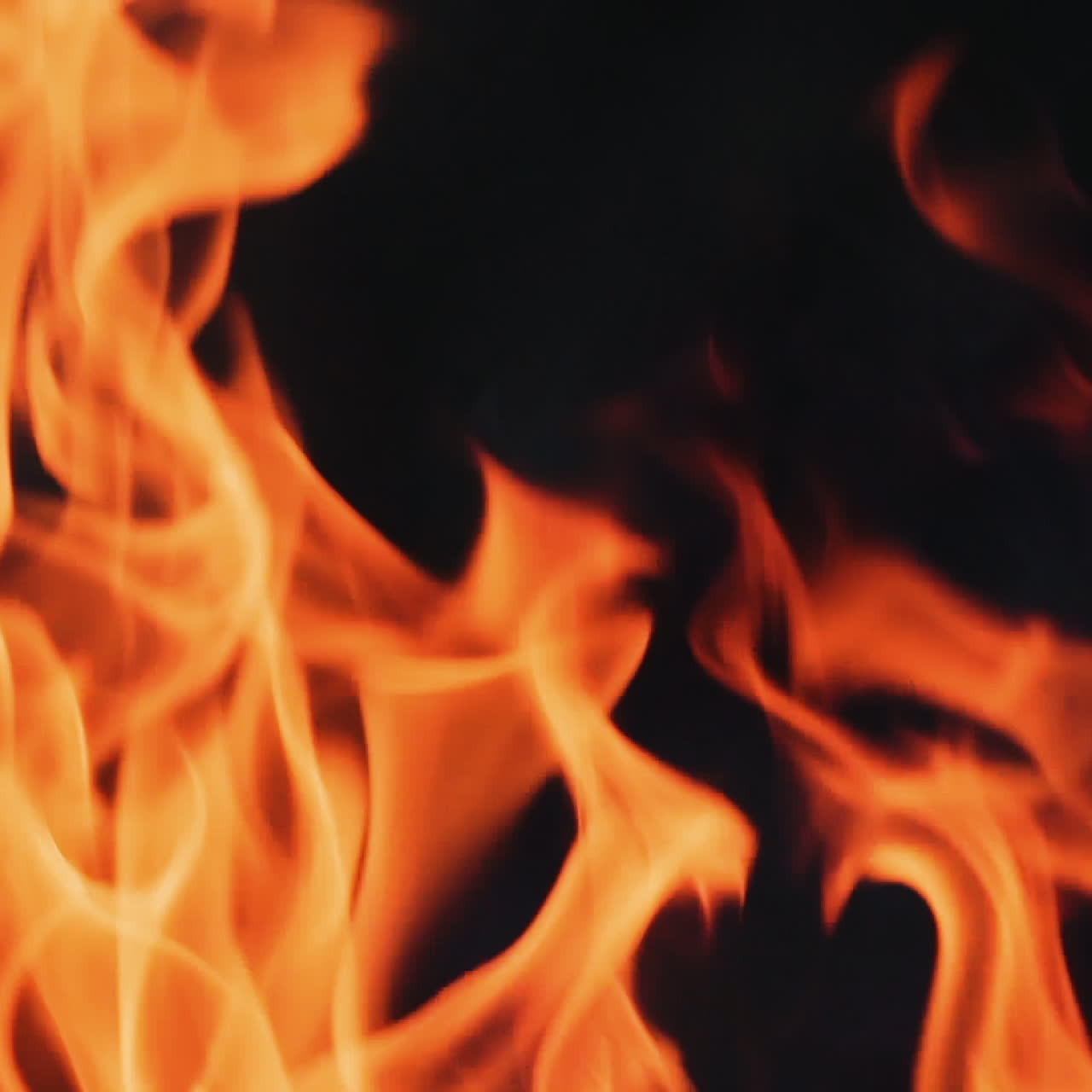 Burning fire. Bonfire. Closeup of flames burning on black background, slow motion