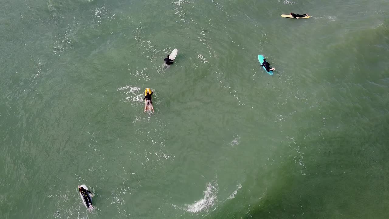Surfers paddling in open ocean waiting for waves, teamwork and outdoor sports, birds eye view