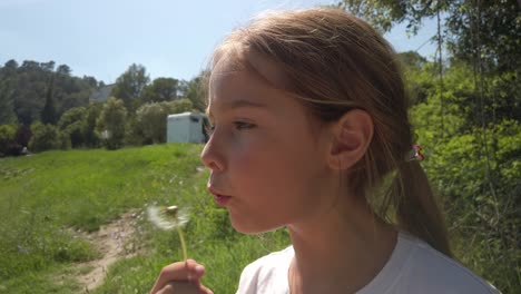 young female in white top blows the small petals of dandelion, slow mo