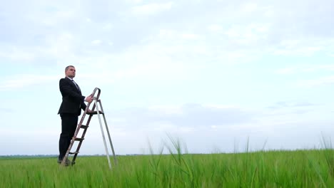 Businessman Climbing Ladder in Field