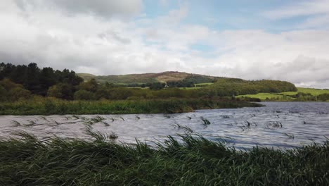 Windblown-waves-in-a-Scottish-Loch-with-waving-grass-and-reeds