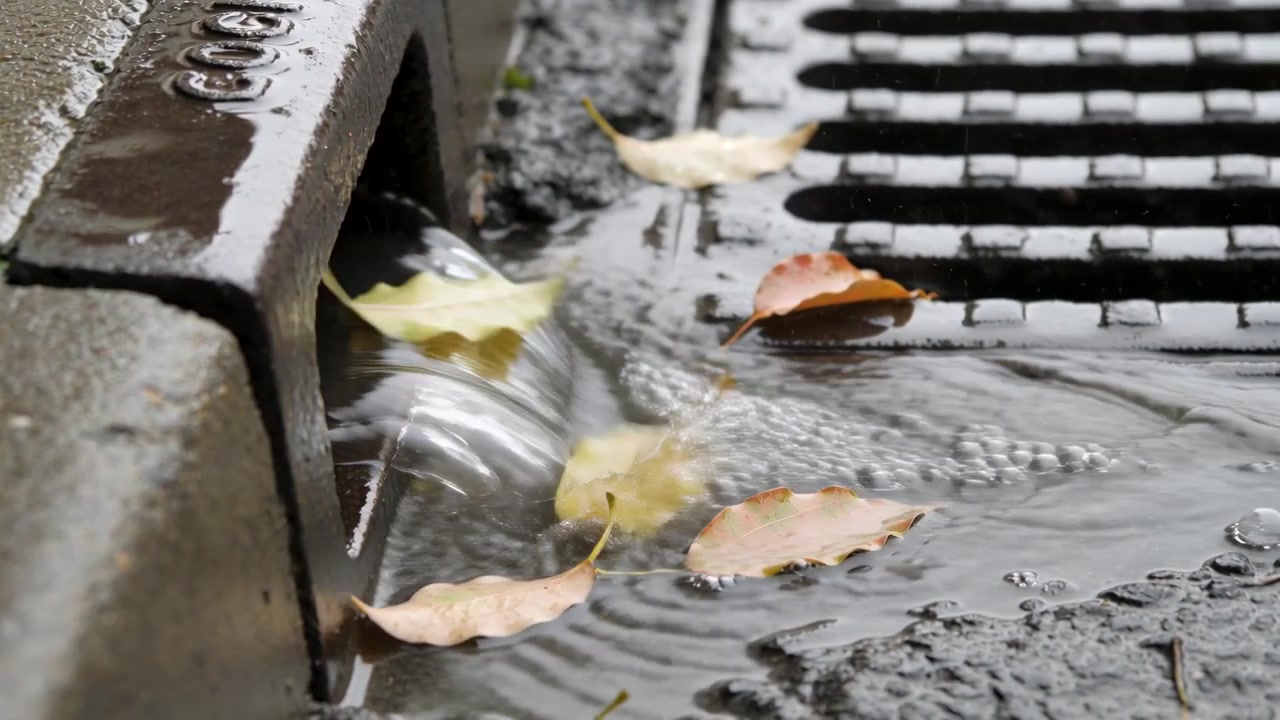Pouring runoff forming cascade from rainfall at curb opening near storm grate, moving yellow leaves