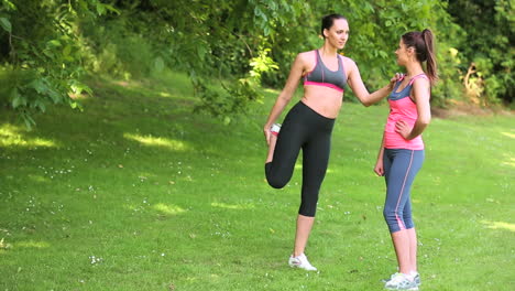 fit friends stretching before their run