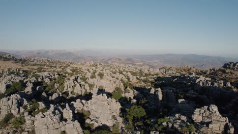bosque verde desde el pico de la montaña