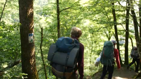 3 guys walking trough a forrest in luxembourg with huge packpacks