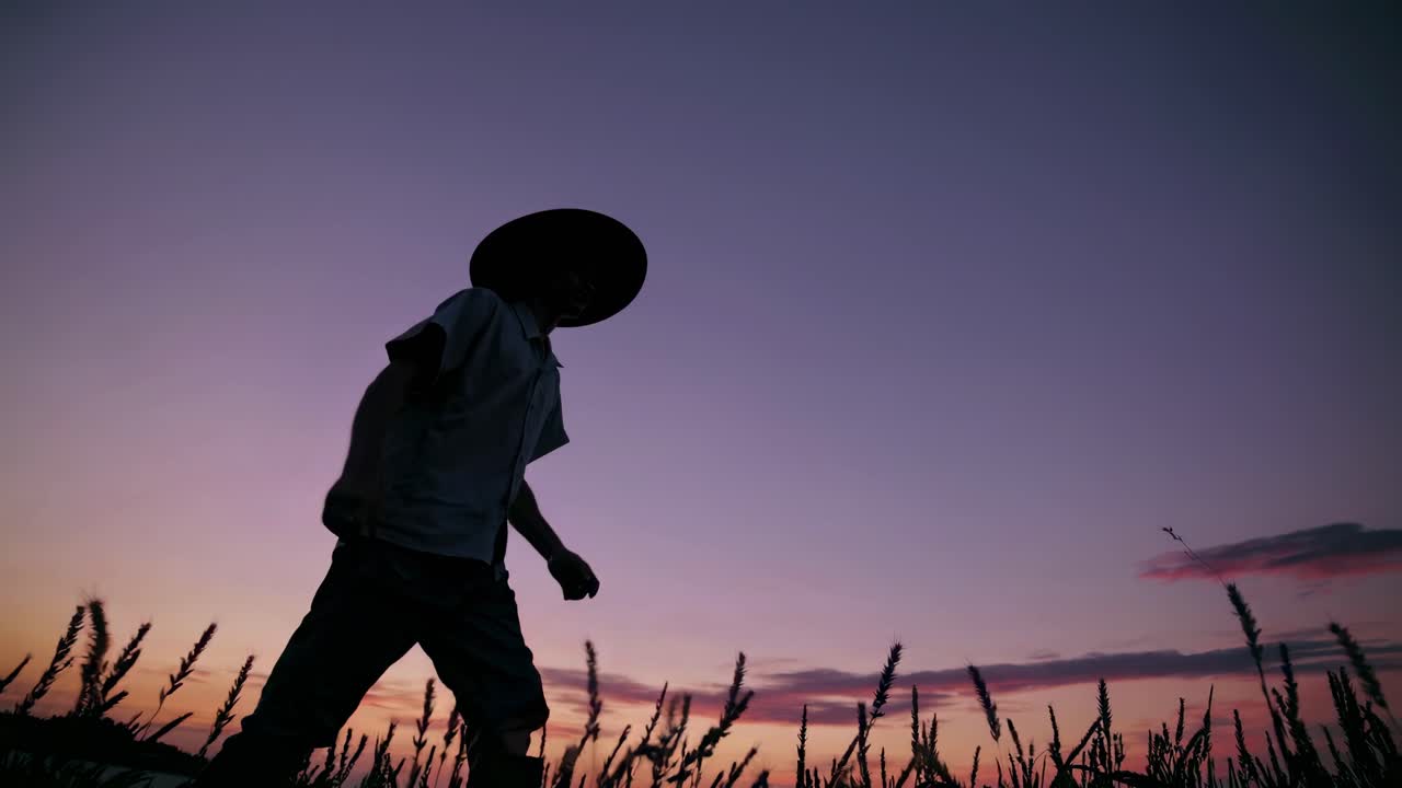 Silhouette of a person walking through a field at sunset, captured from a low angle