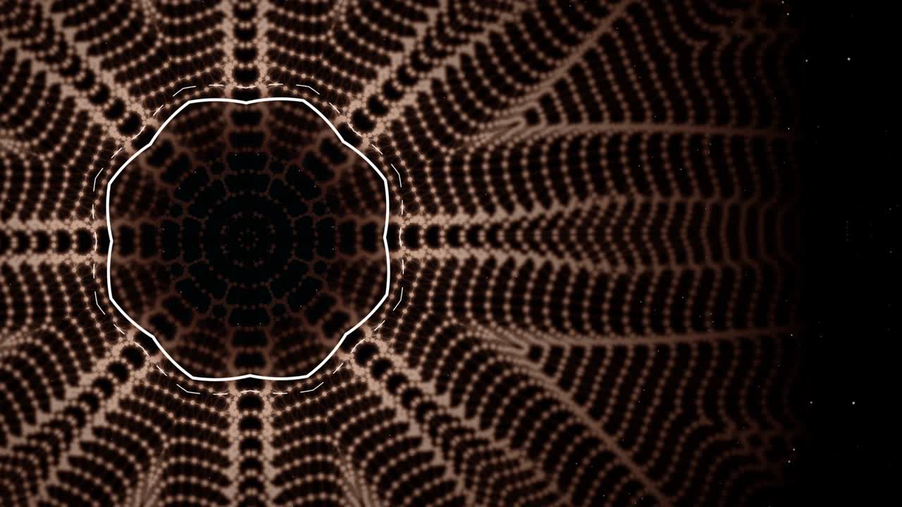 Cobweb or spider web animation in white, brown and black geometric style.