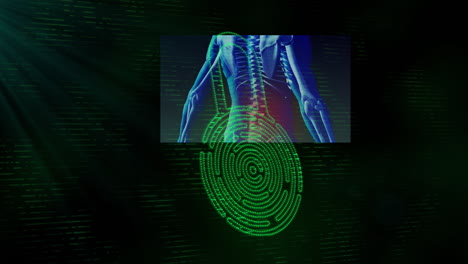 animation of security padlock icon and human body model over green light spot on black background