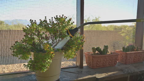 Plantas-En-Macetas-En-El-Patio-Cerrado,-Manguera-De-Riego-Con-Boquilla-Utilizada-Para-Regarlas