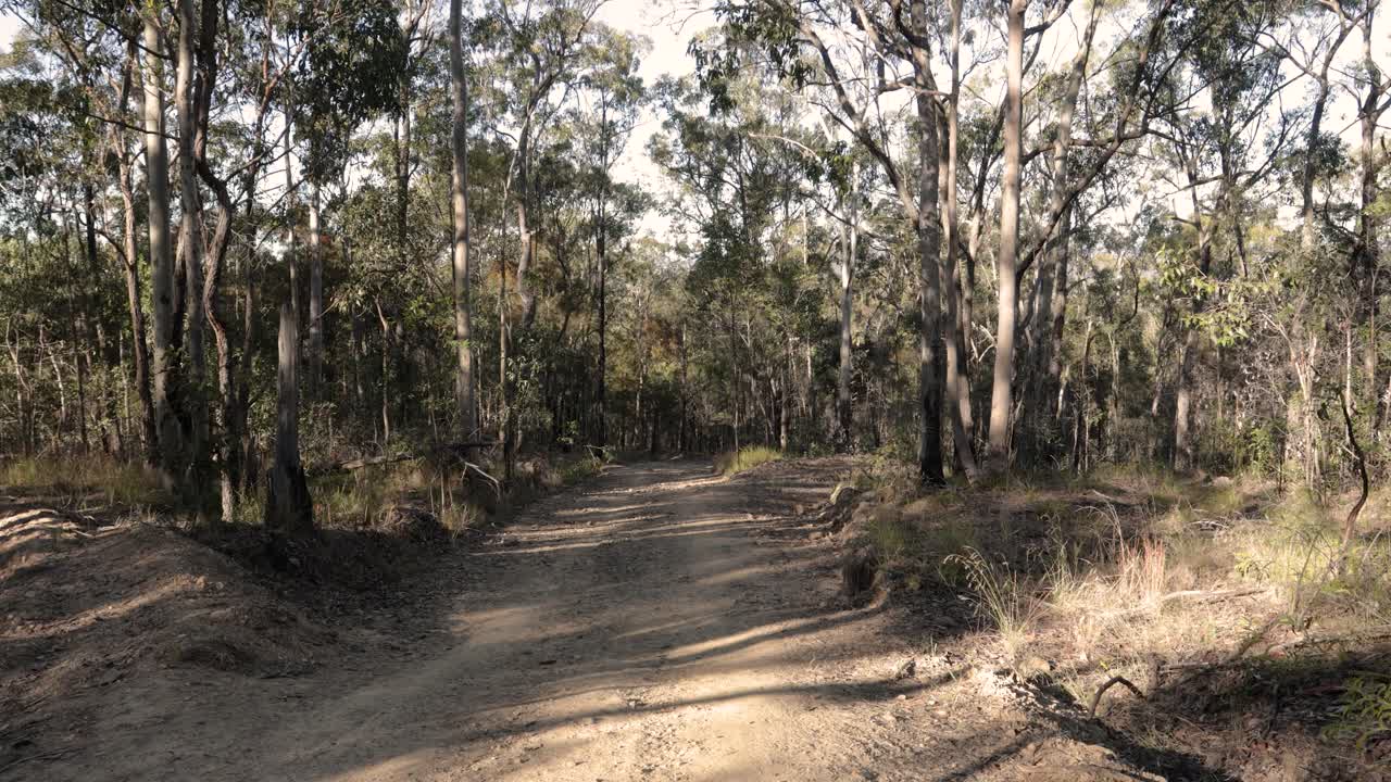 네랑 국립 공원, 골드 코스트,  ⁇ 즈랜드, 오스트레일리아 의 화재 방지 경로 의  ⁇ 드헬드 영상