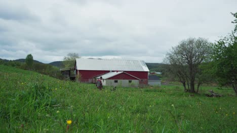 a man in green meadows pushing a wheelbarrow in countryside