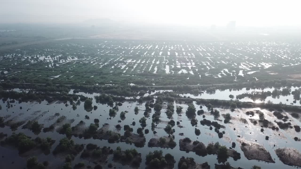 페 주 바투  (batu kawan) 의 맹그로브 습지 지역.