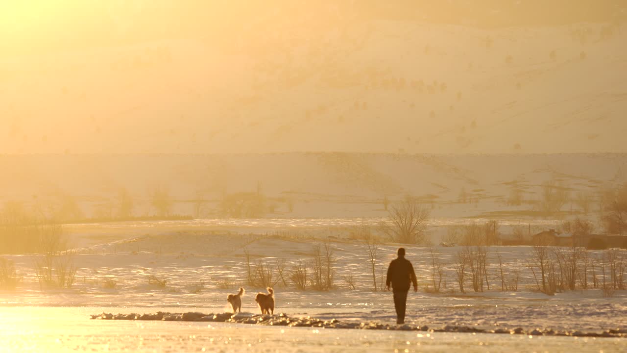 저수지 해안에서 개와 노는 노인