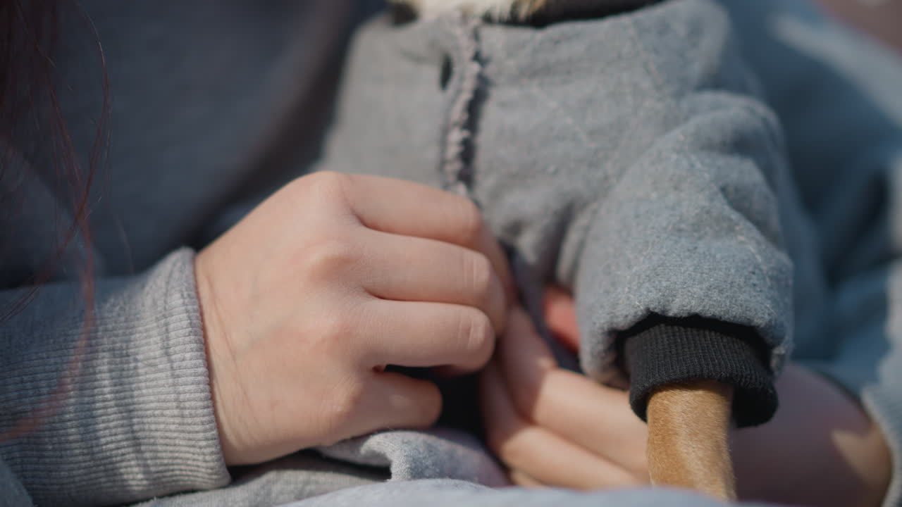 섬세한 스티칭으로 반려동물 재킷을 채우는 손, 작은 강아지에게 따뜻한 코트를 입히는 손의 클로즈업, 야외 산책을 위해 반려동물 재킷을 조심스럽게 채우면서 섬세한 스티칭에 초점