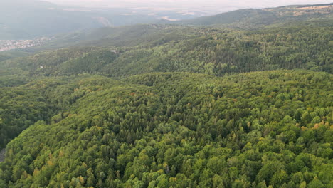 Vista-Aérea-Circular-Desde-La-Ciudad-En-El-Valle-Hacia-El-Denso-Bosque-De-Las-Montañas-Vitosha