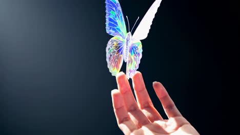 A close-up video captures a hand reaching towards a vibrant, iridescent butterfly against a dark