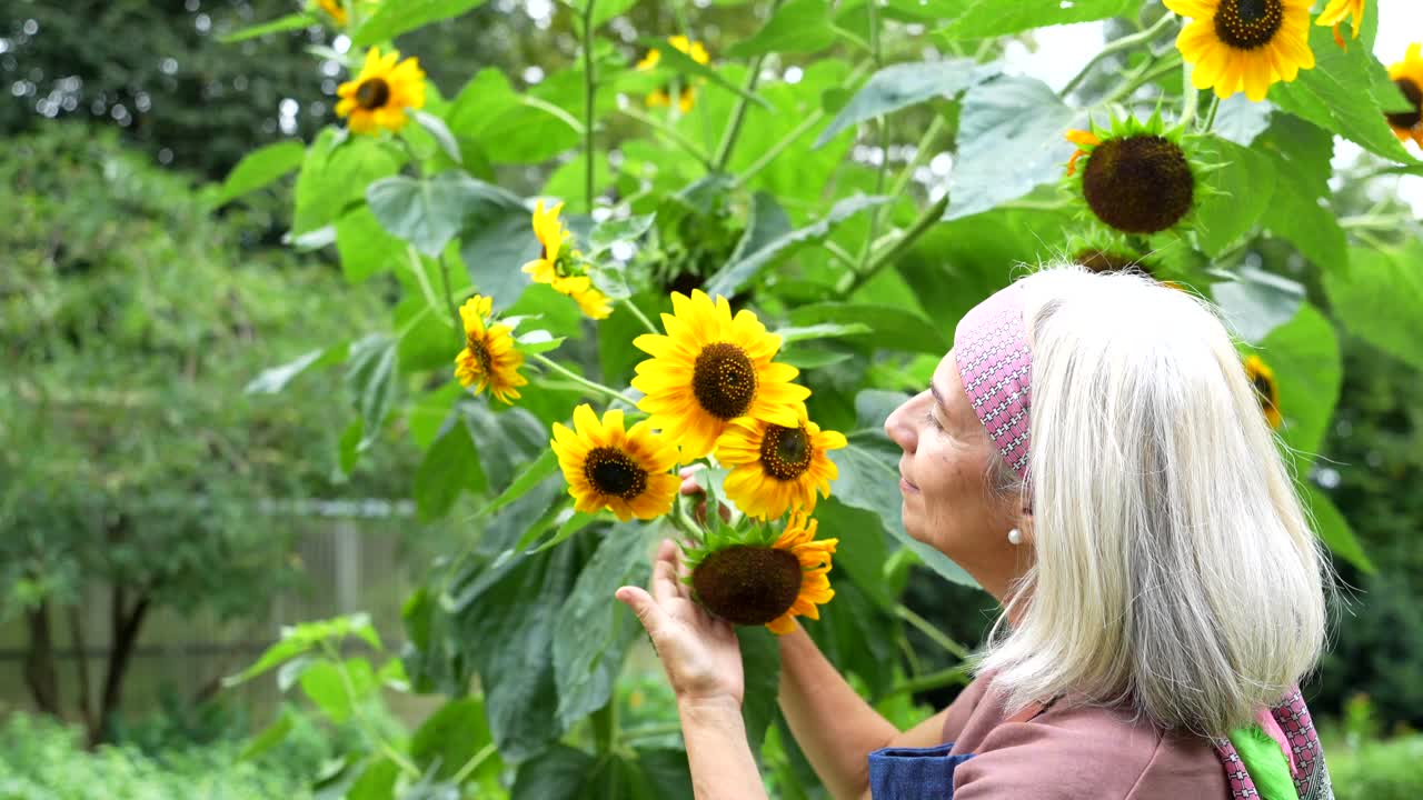 mujer con girasoles