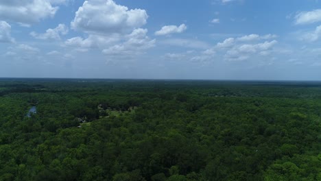 Luftdrohne-über-Wald-In-Florida-Geschossen