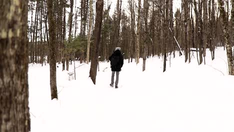 a man walks in the snow in a canadian national park