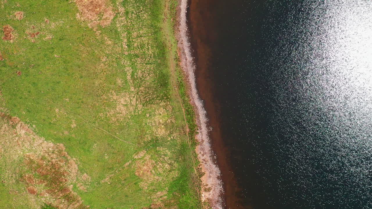 vista aérea de arriba hacia abajo que muestra la orilla de un lago, el agua brillando bajo el sol
