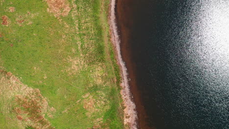 aerial top down view showing the shore of a lake, water shimmering in the sun