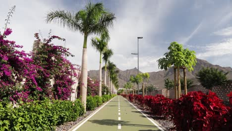 hermoso camino rodeado de palmeras y flores en costa adeje, tenerife