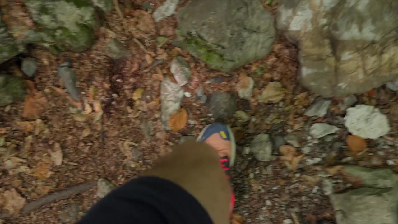 A pair of hiking shoes step on a natural forest floor covered with dry leaves, rocks, and tree roots, evoking a peaceful outdoor trek in Valbona valley, Albania.