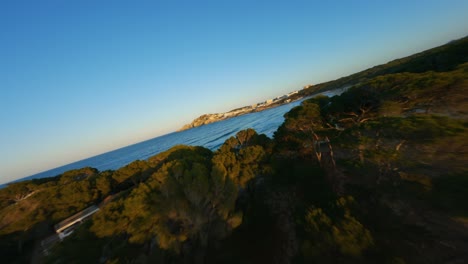 drone fpv caminando de cerca sobre la cima de los árboles hacia la hermosa playa y el agua clara durante la hora dorada del atardecer en mallorca